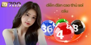 Diễn Đàn Cao Thủ Soi Cầu: Nơi Hội Tụ Những Bậc Thầy Chốt Số