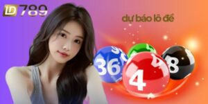 Dự Báo Lô Đề Mỗi Ngày: Bí Kíp Chốt Số Tỷ Lệ Trúng Cao